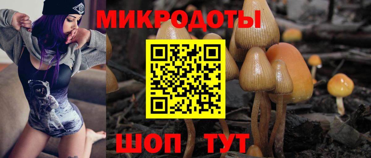 Саяногорск  Галлюциногенные грибы Psilocybine cubensis  Галлюциногенные грибы мухоморы  Вход с VPN 