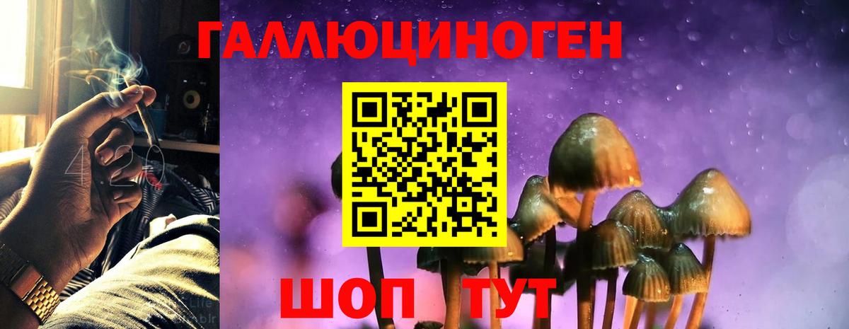 Псилоцибиновые грибы GOLDEN TEACHER Саяногорск